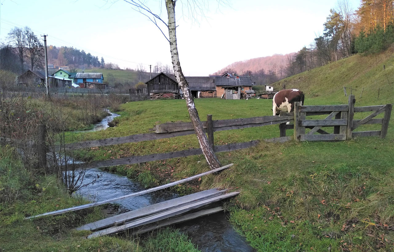 Biosphere Reserve Roztochya